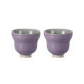 KAMMAK Japanese Tea Cups, 4.2 Oz Small Handmade Ceramic Teacups, Set of 2 - style: Ice Crackle Glaze-Lilac