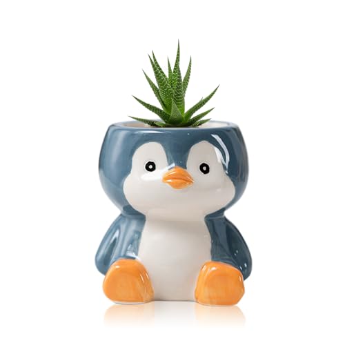 DIYOMR Cute Animals Planter, Mini Ceramic Cartoon Animal Shaped Succulent Flower Pot Indoor Air Plants Holder, Smooth Shiny Decorative Flower Cactus Planter - Plants Not Included (Penguin) - color: Penguin