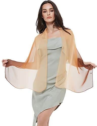 PANTONIGHT Long Chiffon Sheer Scarf Gradient Shaded Colors Lightweight Scarf For Womens - color: Color 081