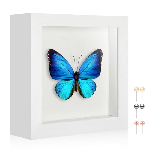 5x5 Small Shadow Box Picture Frame with Real Glass and Linen Back - color: White + Thickened Panel + Foam Packaging, size: 5x5