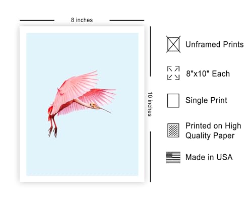 Poster Master Vintage Flamingo Poster - Retro Pink Flamingo Print - Minimalist Art - Gift for Her, Bird Watcher, Animal Lover - Chic Decor for Home, Office, Living Room - 8x10 UNFRAMED Wall Art - color: Style-16, size: 8"L x 10"W