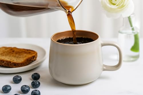 Ava Nord Stoneware Ceramic Coffee Mugs Set of 4 | 12 oz | Sage Ash - color: Sage Ash, size: 12 Oz