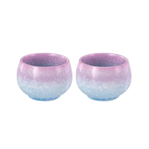 KAMMAK Japanese Tea Cups, 6.7 Oz Small Handmade Ceramic Teacups, Set of 2 - style: GN02