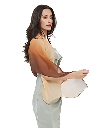 PANTONIGHT Long Chiffon Sheer Scarf Gradient Shaded Colors Lightweight Scarf For Womens - color: Color 081