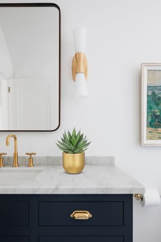 Briful Succulents Plants Artificial for Home Decor, Realistic Potted Fake Agave Plant, Gold Metal Pot, Cute Aloe Maguey Faux Plant, Shelf Tables Decor, Modern Farmhouse Home Kitchen Decorations - color: Aloe-gold Metal Vase