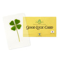 Real Four Leaf Clover Bookmark, Elegant 4 Leaf Clover Charm, Perfect Gift for Book Lovers, Preserved Four Leaf Clover in Laminated Bookmark Made in Korea - size: gold-1pack