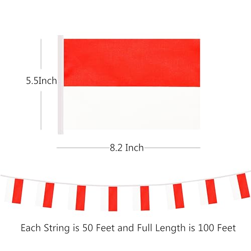 100 Feet Indonesia String Flag, 76 Pcs Indonesian Banner Flag, Small Mini World Banner Flags for Sports Events, Bars Decorations, School Festivals, Party Decorations, Celebrations (Indonesia) - color: Indonesia