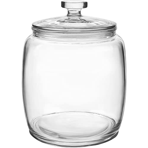 Daitouge 2.5 Gallon Glass Jars with Lids, Wide Opening Large Jar, 1 Pack