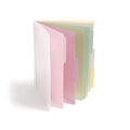 Smead Poly Project Organizer, 6 Tabs, 12 Pockets, Letter Size, Pastel (89208) (Pack of 1) - size: Letter, style: Pastel, 1 Count