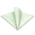 S&W SHLAX&WING Mens Pocket Square Paisley Multicolor Large for Business Wedding - color: Eh6