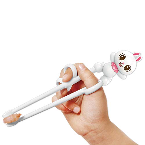 Rabbit White Chopsticks, Training Chopsticks, Learning, Beginner, Brain Training, Practice, Korean Food, Japanese Sushi, 1 Step to Learn Chopstick, Right Handed - Made in Korea
