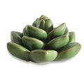 Ceramic Succulent Flower Table Centerpiece (Green 2) - color: Green 2