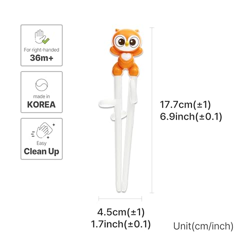 Rabbit White Chopsticks, Training Chopsticks, Learning, Beginner, Brain Training, Practice, Korean Food, Japanese Sushi, 1 Step to Learn Chopstick, Right Handed - Made in Korea