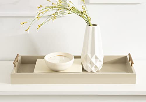 Kate and Laurel Lipton Modern Narrow Tray; 10 x 24; Sand; Midcentury Serving Tray for Storage and Display - color: Natural
