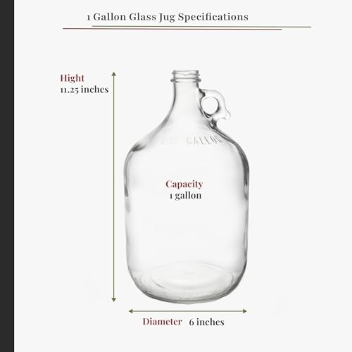 North Mountain Supply 1 Gallon Glass Fermenting Jug with Handle & Airlock