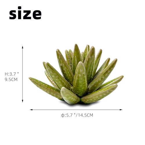 Ceramic Succulent Flower Table Centerpiece (Cactus) - color: Cactus