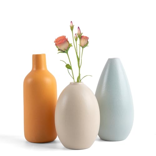 Flower Ceramic Vase for Home Decor, Minimalist Decorative Vases Set