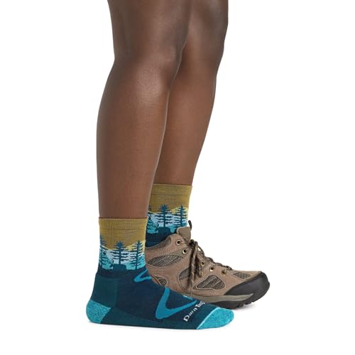 Darn Tough Women's Northwoods Micro Crew Lightweight Hiking Sock (Style 5013) - - color: Cranberry, size: Large