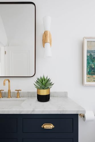 Briful Succulents Plants Artificial for Home Decor, Realistic Potted Fake Agave Plant, Gold Black Metal Pot, Cute Aloe Maguey Faux Plant, Shelves Tables Decor, Modern Farmhouse Kitchen Decorations - color: Aloe-gold Black Metal Pot