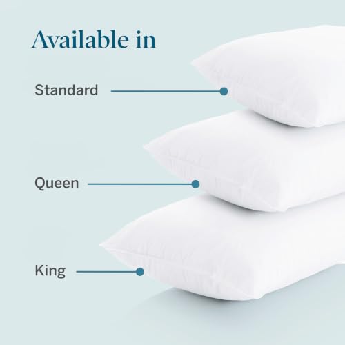 Lucid® Zippered Pillow Encasement – Waterproof Protector – King, Set of 2 - size: King, style: Pillow Encasement
