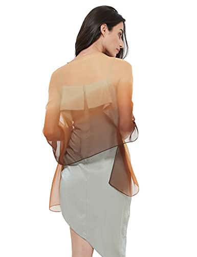 PANTONIGHT Long Chiffon Sheer Scarf Gradient Shaded Colors Lightweight Scarf For Womens - color: Color 081