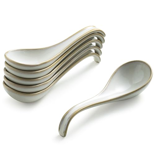 Gomakren Soup Spoons Ramen Spoons Set of 6 with Long Handle, Creamy White - color: Creamy White