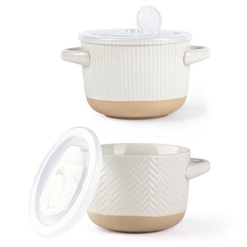 AmorArc 24 oz Soup Bowls with Lids, Ceramic Soup Containers with Handle - color: Light Beige(Line ), size: Set of 2