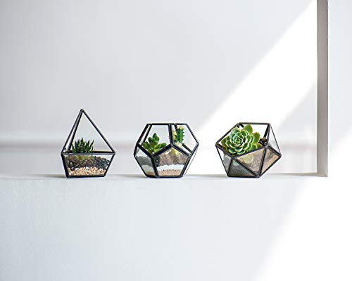 Mkono 3 Pack Fake Succulent in Geometric Glass Terrarium Black Office Decor - color: Black