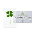 Real Four Leaf Clover Bookmark, Elegant 4 Leaf Clover Charm, Perfect Gift for Book Lovers, Preserved Four Leaf Clover in Laminated Bookmark (gray-1pack) Made in Korea - size: gray-1pack