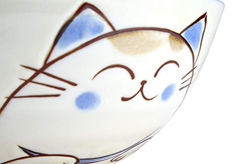 Japanese Rice Bowl Chawan set of 2 4.6" Cat Design MIKE Blue - color: Blue
