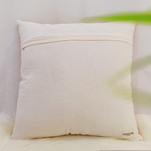 Trade Star Breathable Thick Cotton Cushion Cover Sabra Kilim Pillow Cover 100% Cotton Throw Pillow Cover Luxurious Farmhouse Cushion Case Handwoven Living Room Pillow Case for Home Decor - color: Pattern 7