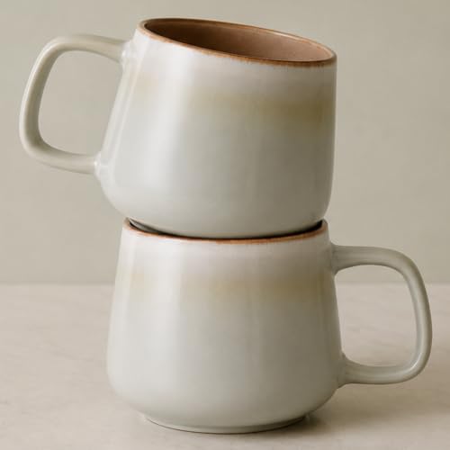 Ava Nord Large Stoneware Ceramic Coffee Mugs Set of 2 | 20 oz | Sage Ash - color: Sage Ash, size: 20 Oz