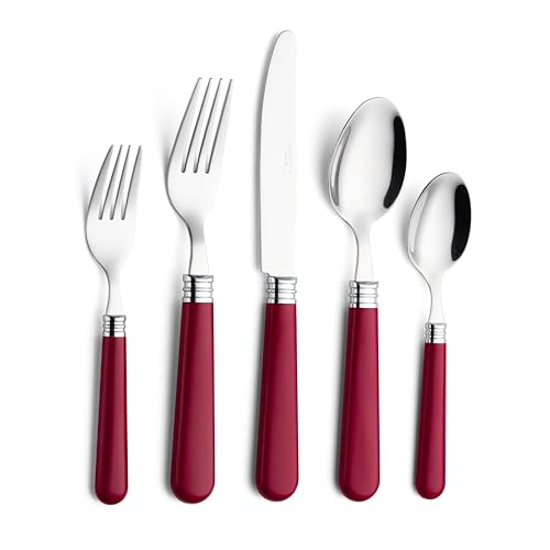 ANNOVA Silverware Set 20 Pieces Cutlery Stainless Steel Colorful Fun Handle Flatware Service for 4 - Dinner Knife, Dinner Fork, Salad fork, Dinner Spoon, Dessert Spoon (Red, 20 Pieces) - color: Red