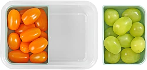 carrotez 2 Compartment Food Container, Green - 2 Cup (480ml) - color: Green, size: 2 Compartment (2 Cup)