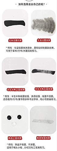 MEGREZ Chinese Japanese Calligraphy Xuan Paper Rice Paper - size: 27.1 x 54.3 inches