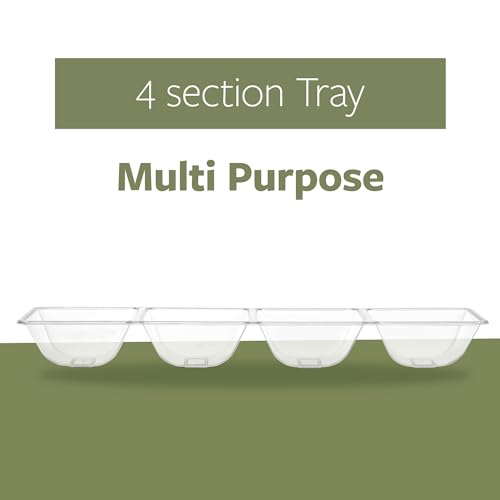 PLASTICPRO 4 Sectional Rectangle Plastic Disposable Serving Pack of 2 - color: Clear