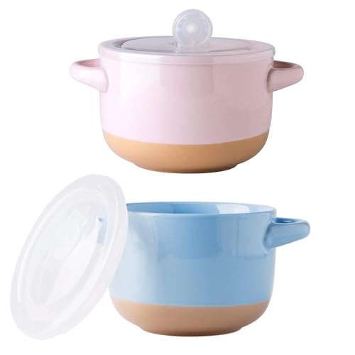 AmorArc 24 Ounces Soup Bowls with Large Handles and Lids, Stoneware Bowls Set of 2 for Soup, Cereal, Stew, Noodle, Colourful Ceramic Kitchen Bowls, Microwave&Dishwasher Safe, Blue&Pink - color: Pink& Sky Blue, size: Set of 2