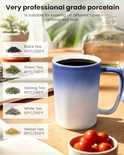 Ceramic Tea Mug with Infuser and Lid,16oz Porcelain Loose Leaf Tea Cup with Large Handle,Metal-Free Filter,Microwave &Dishwasher Safe,Perfect for Tea,Coffee (Light Blue) - color: Light Blue