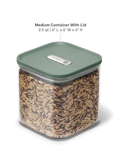 Caraway 2.5 qt Glass Airtight Food Storage Container with Lid - color: Sage, size: 2.5qt Container