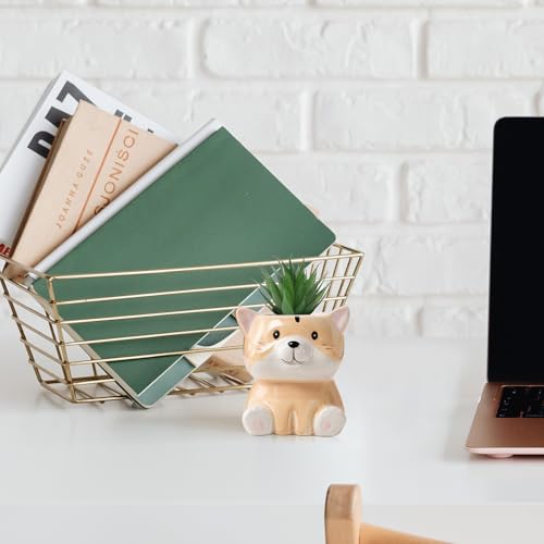 DIYOMR Cute Animals Planter, Mini Ceramic Cartoon Animal Shaped Succulent Flower Pot Indoor Air Plants Holder, Smooth Shiny Decorative Flower Cactus Planter - Plants Not Included (Groundhog) - color: Groundhog