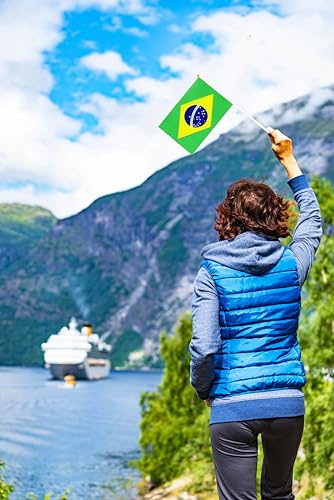 50 Pack Brazil Brazilian Flags Small Mini Hand Held Brazil Brazilian on Stick Flags, Miniature National Country Flags,Party Decorations Supplies for Parades,International Festival - color: Brazil