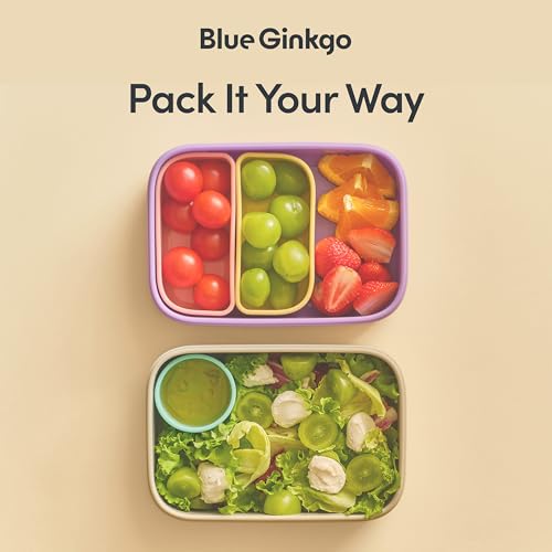BLUE GINKGO Bento-Style Silicone Lunch Box Set, Grey, Made in Korea - color: Gray