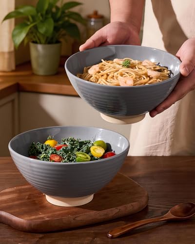 famiware Milkyway 54 oz Large Ramen Bowls Set of 2, Dark Gray - color: Dark Gray