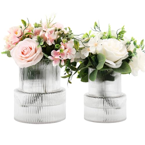 Ribbed Glass Vases for Bouquet, Set of 2 Fluted Vases for Flowers, Clear Vase for Tulips, Modern Glass Vase for Living Room, Office, Coffe Table, Dining Table, Shelf, Wedding - color: Clear, size: Large+Medium