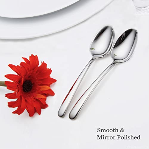 HaWare 12-Pieces Teaspoons, Heavy Duty Stainless Steel 6.7 Inches Small Spoons, Modern & Elegant Design, Mirror Polished, Dishwasher Safe