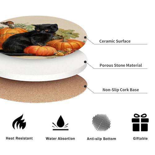 Drink Coasters for Drinks Set of 6, Fall Cute Black Cat and Pumpkin Absorbent Round Ceramic Stone Mat Coaster, with Cork Base and Metal Holder, Home Bar Decor House Warming Gift - color: Fall Cat