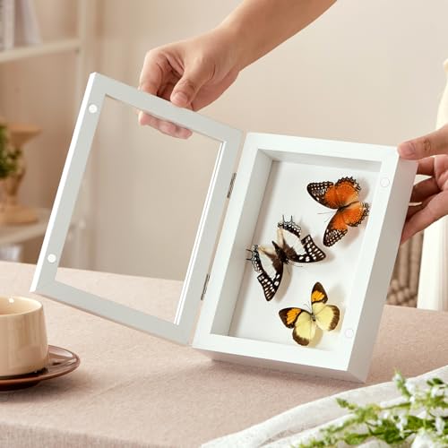 5x7 White Deep Shadow Box Picture Frame with HD Clear Glass - color: White, size: 5x7