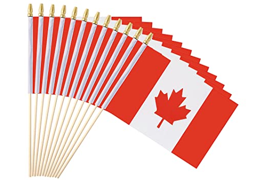 25Pack Small Canada Flag Handheld Mini Canadian Flag on Stick 5x8 Inch - color: Canada