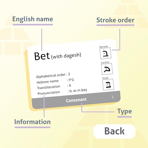 CARDDIA | Biblical Hebrew Alphabet Educational Flashcards | Includes Consonants, Vowels, Dagesh, and Final Forms