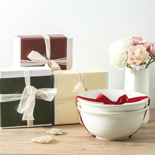 Hasense Serving Bowls, 9 Inch Ceramic Salad Bowls for Kitchen, 84 Ounce Mixing Bowl for Soup Pho Pasta Popcorn, Dishwasher & Microwave Safe, Set of 2(Clay-Infused White) - color: Clay-Infused White, size: 84 Ounce
